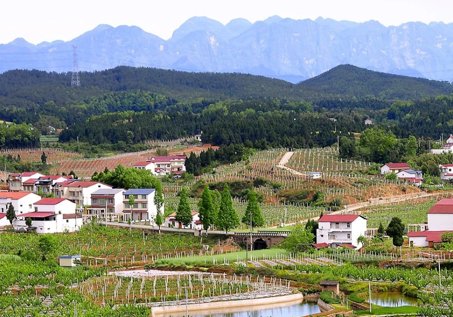 國(guó)家政策解讀：建立產(chǎn)品碳足跡管理體系