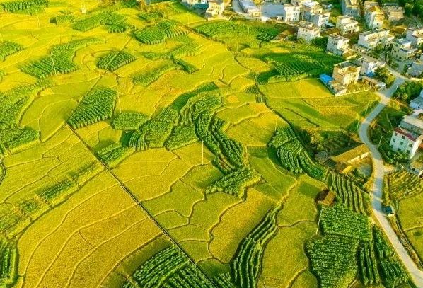 農村污水處理：不同省份如何因地制宜？