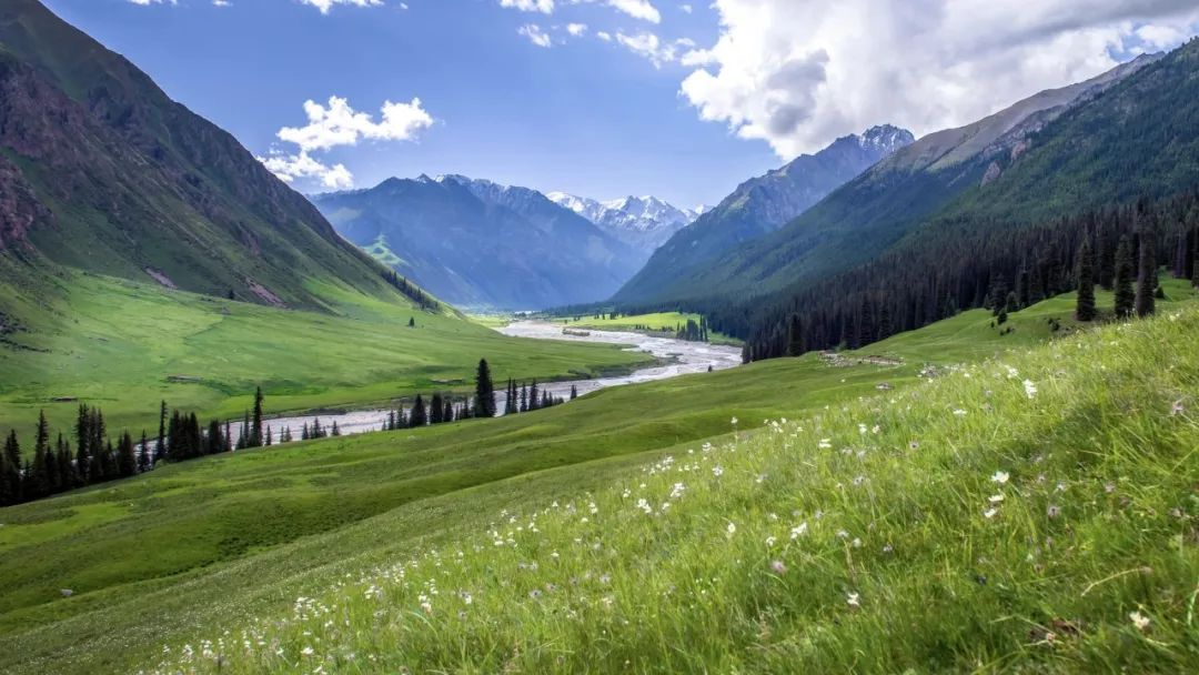 農(nóng)村污水治理：破解難題，共建美麗鄉(xiāng)村