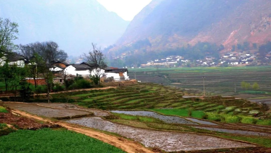 濟(jì)寧：農(nóng)村污水治理全域統(tǒng)籌，提升治理水平