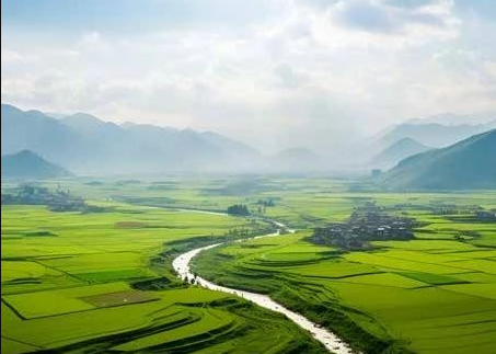 《農(nóng)村黑臭水體治理工作指南》來了！