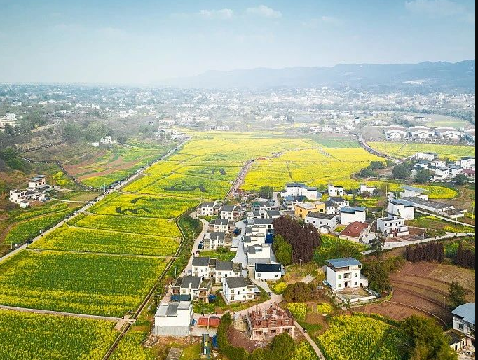 《四川省農(nóng)村生活污水處理設(shè)施運行維護(hù)管理辦法》自2024年3月1日起施行！