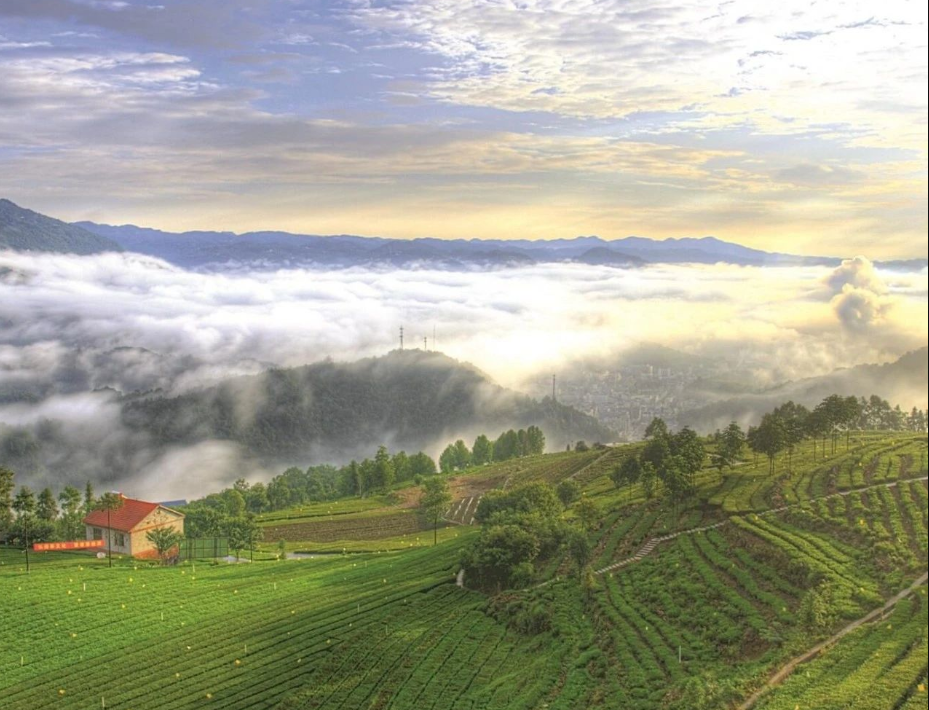 農(nóng)村生活污水治理率達(dá)到46.58%，湖北省印發(fā)2024年全省生態(tài)環(huán)境工作要點