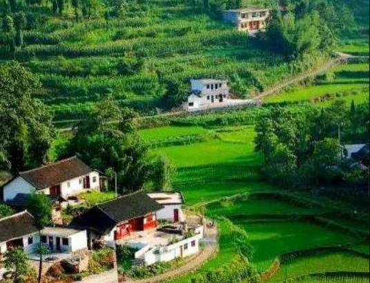 農(nóng)業(yè)農(nóng)村部辦公廳、財政部辦公廳關(guān)于做好2024年農(nóng)業(yè)產(chǎn)業(yè)融合發(fā)展項目申報通知