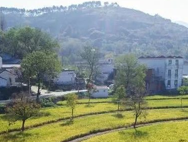 1.8萬億涉及10余個(gè)水環(huán)保項(xiàng)目，2024年河南省第二批重點(diǎn)建設(shè)項(xiàng)目名單發(fā)布