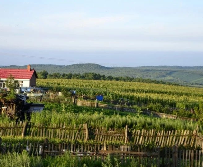 黑龍江省2024年農村生活污水、黑臭水體治理工作方案