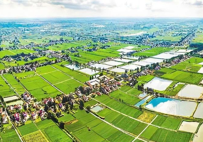 上海市生態(tài)環(huán)境局上海市水務(wù)局上海市農(nóng)業(yè)農(nóng)村委員會(huì)關(guān)于進(jìn)一步強(qiáng)化監(jiān)管提升農(nóng)村生活污水治理（管控）成效的通知