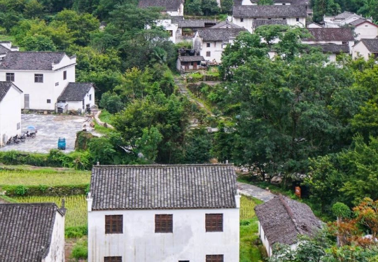 安徽六安市生態(tài)環(huán)境局發(fā)布《2024年六安市土壤、地下水污染防治和農(nóng)村生態(tài)環(huán)境保護(hù)工作要點(diǎn)》！