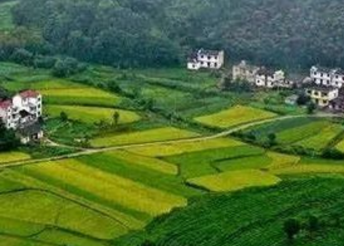 年安排3億元！福建加快推進(jìn)農(nóng)村生活污水提升治理！