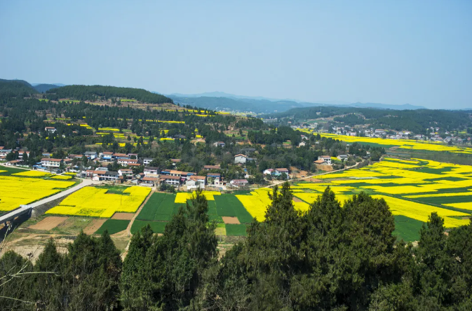 深度研究！探索產(chǎn)業(yè)融合發(fā)展的農(nóng)業(yè)現(xiàn)代化道路