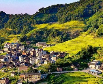 14.15億元！福建下達(dá)鄉(xiāng)村振興示范補(bǔ)助資金