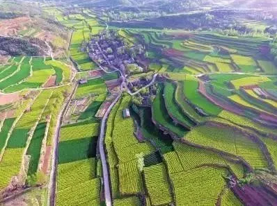 關(guān)于“生態(tài)修復+產(chǎn)業(yè)導入”的探索，推動生活、生態(tài)、生產(chǎn)空間整體提升