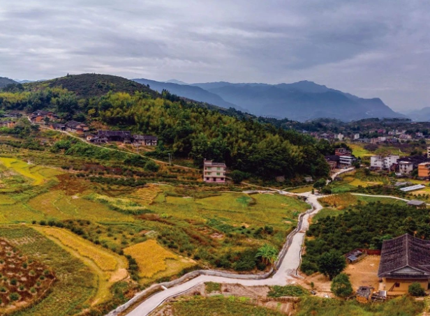 《決定》發(fā)布，與“三農(nóng)”相關(guān)的9個關(guān)鍵詞