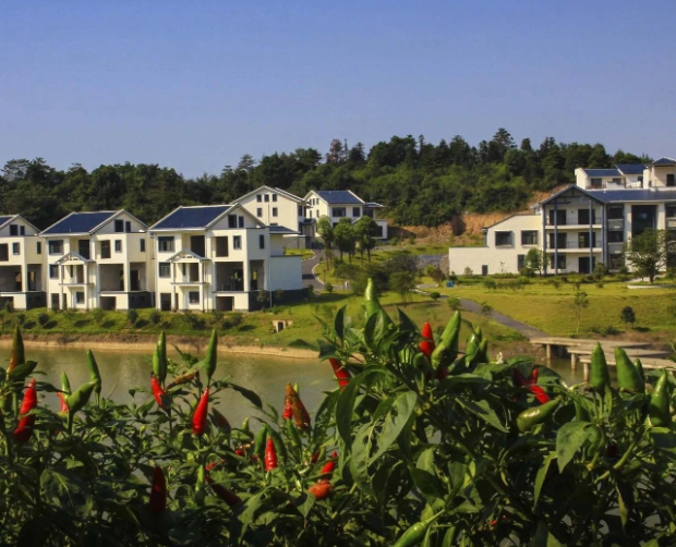 《上海市推動職能部門做好生態(tài)環(huán)境保護(hù)工作的實施意見》發(fā)布