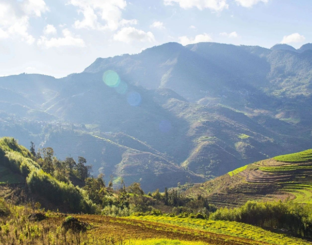 事關(guān)設(shè)施農(nóng)業(yè)投資項目獎補，云南兩部門印發(fā)申報指南