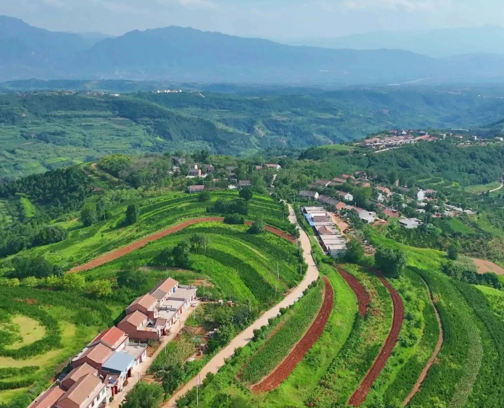 農(nóng)業(yè)農(nóng)村部：做好農(nóng)業(yè)農(nóng)村重大項(xiàng)目謀劃儲(chǔ)備深化融資對接服務(wù)