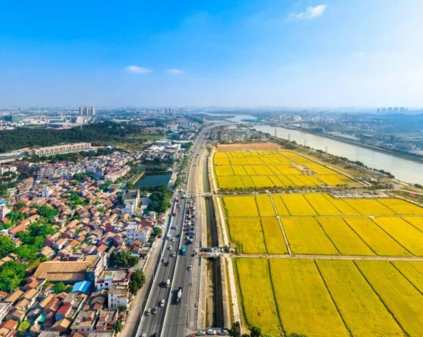 關(guān)于印發(fā)《2025年鄉(xiāng)村振興戰(zhàn)略專項(xiàng)省級(jí)組織實(shí)施項(xiàng)目（第二批）入庫(kù)申報(bào)指南》的通知