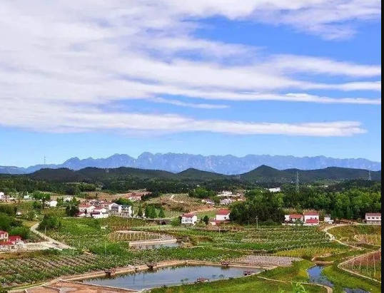 《山東省人民政府辦公廳 關(guān)于學(xué)習(xí)運用“千萬工程”經(jīng)驗深化農(nóng)村人居環(huán)境整治提升的實施意見》魯政辦字〔2024〕112號