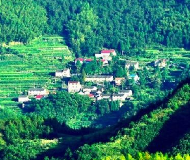 提升污水收集處理及資源化利用設(shè)施建設(shè)水平，《浙江省城鎮(zhèn)環(huán)境基礎(chǔ)設(shè)施建設(shè)水平提升工作方案》發(fā)布