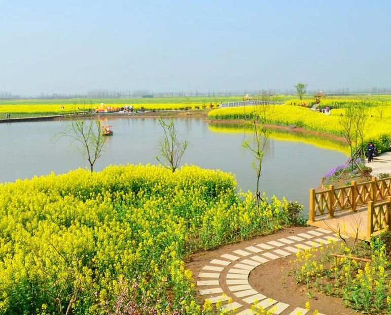 改善鄉(xiāng)村健康環(huán)境，14個部門聯(lián)合制定意見 健康鄉(xiāng)村建設(shè)“路線圖”公布