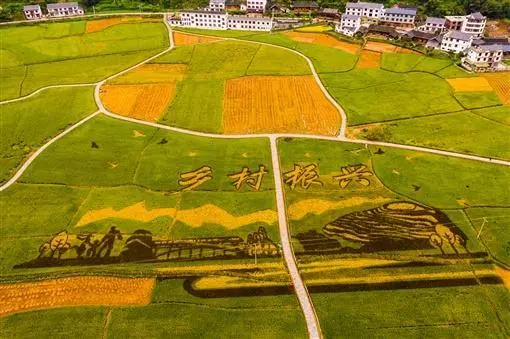 鄉(xiāng)村振興的十個(gè)關(guān)系，你需要搞懂搞透