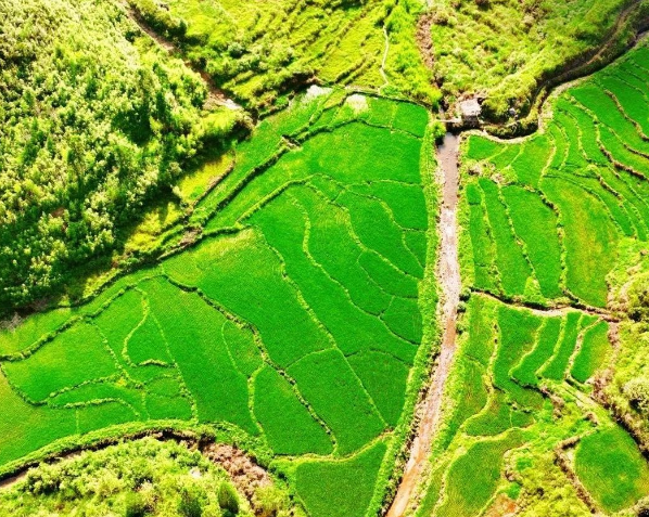 中共中央辦公廳　國(guó)務(wù)院辦公廳關(guān)于加強(qiáng)耕地保護(hù)提升耕地質(zhì)量完善占補(bǔ)平衡的意見(jiàn)（全文）