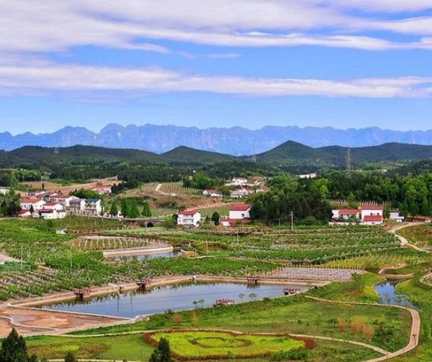 生態(tài)環(huán)境部丨《生態(tài)環(huán)境部門(mén)進(jìn)一步促進(jìn)民營(yíng)經(jīng)濟(jì)發(fā)展的若干措施》