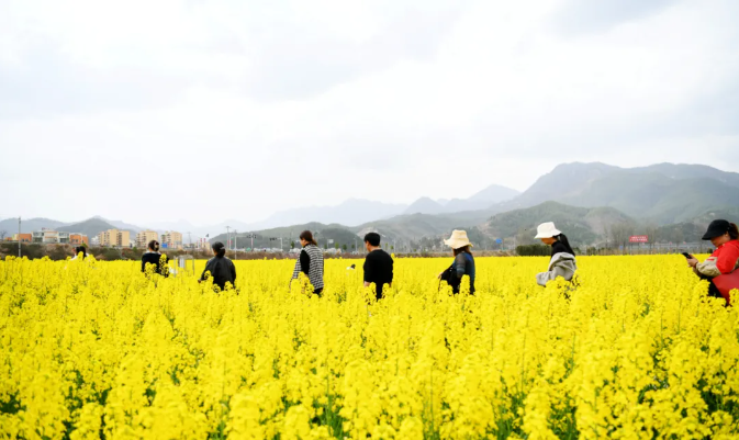 【鄉(xiāng)村振興】2025年的鄉(xiāng)村振興農(nóng)旅融合的7大模式+30種類(lèi)型