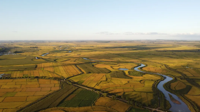 【政策解讀】國(guó)務(wù)院辦公廳：加快發(fā)展現(xiàn)代設(shè)施農(nóng)業(yè)，建設(shè)智慧農(nóng)場(chǎng)（牧場(chǎng)、漁場(chǎng)）