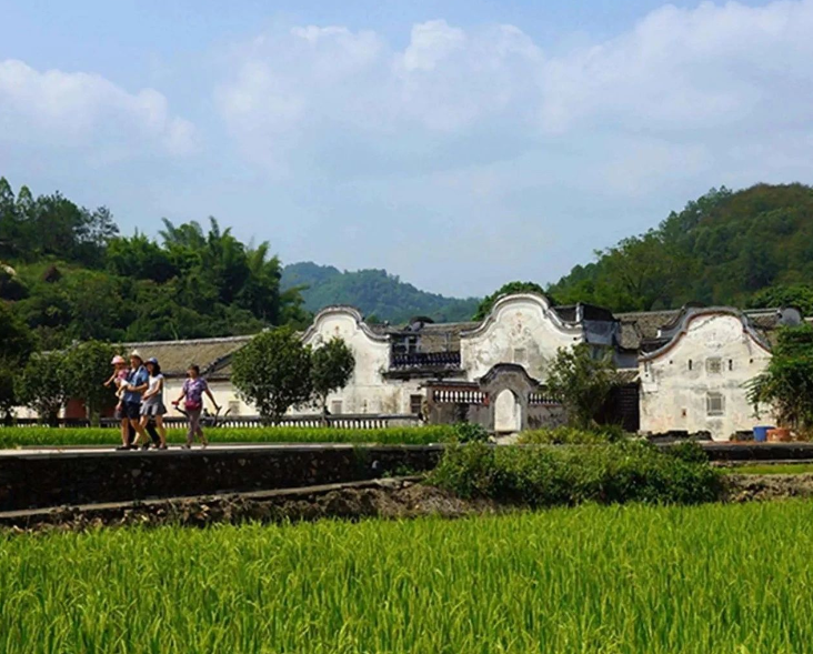 農(nóng)業(yè)農(nóng)村部召開(kāi)常務(wù)會(huì) 研究部署推進(jìn)幫扶產(chǎn)業(yè)高質(zhì)量發(fā)展和智慧農(nóng)業(yè)發(fā)展等工作