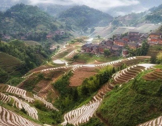 我國擬修法促進漁業(yè)提質(zhì)增效、綠色發(fā)展