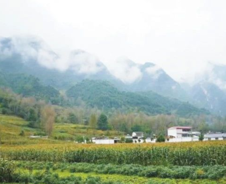 甘肅省：農(nóng)村生活污水治理（管控）率達(dá)到29.47%以上