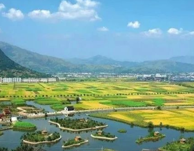 山東印發(fā)實(shí)施意見，大力發(fā)展現(xiàn)代設(shè)施農(nóng)業(yè)