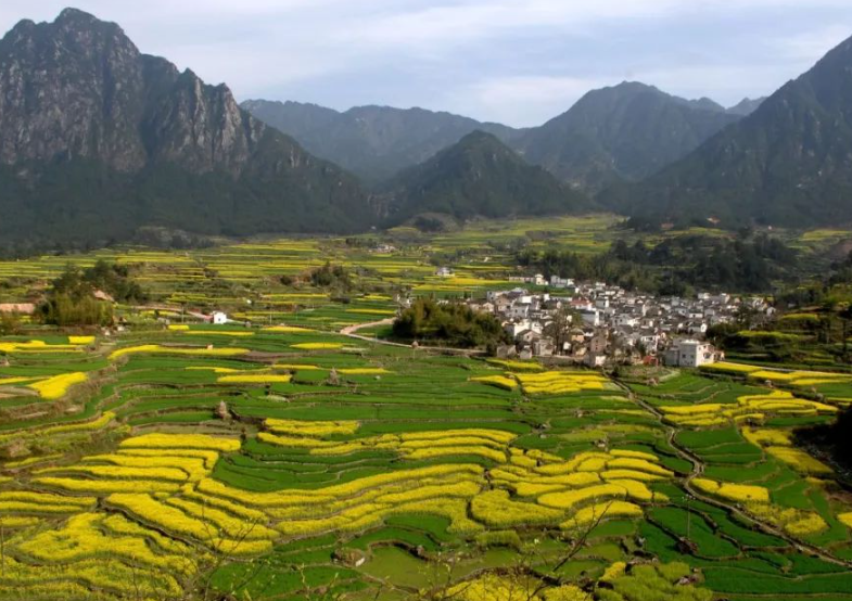 農(nóng)業(yè)農(nóng)村部有關(guān)負(fù)責(zé)人就落實《國務(wù)院辦公廳關(guān)于踐行大食物觀構(gòu)建多元化食物供給體系的意見》答記者問