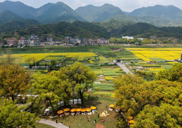 全國首部！浙江為“千萬工程”立法