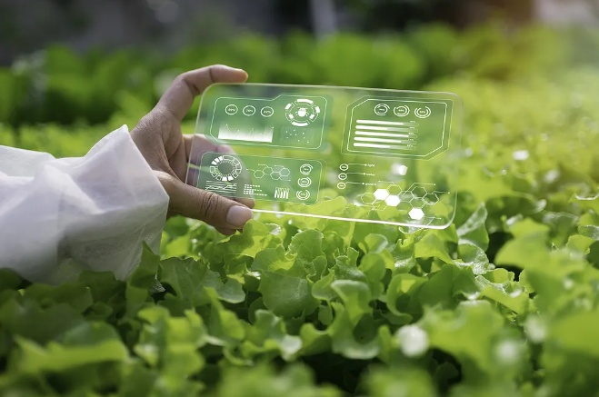 農業(yè)農村部：支持浙江省先行先試建設智慧農業(yè)引領區(qū)