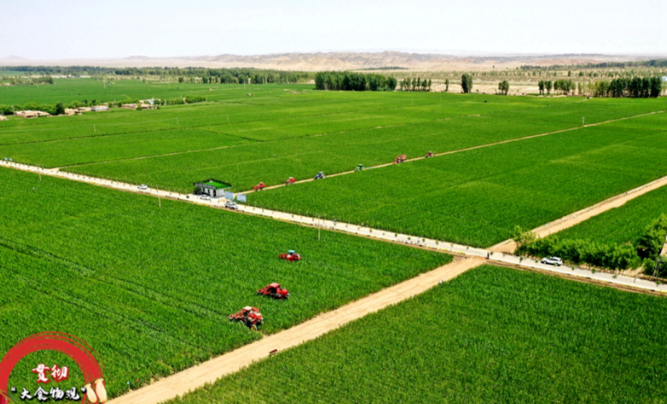 農業(yè)農村部：踐行大食物觀取得積極進展