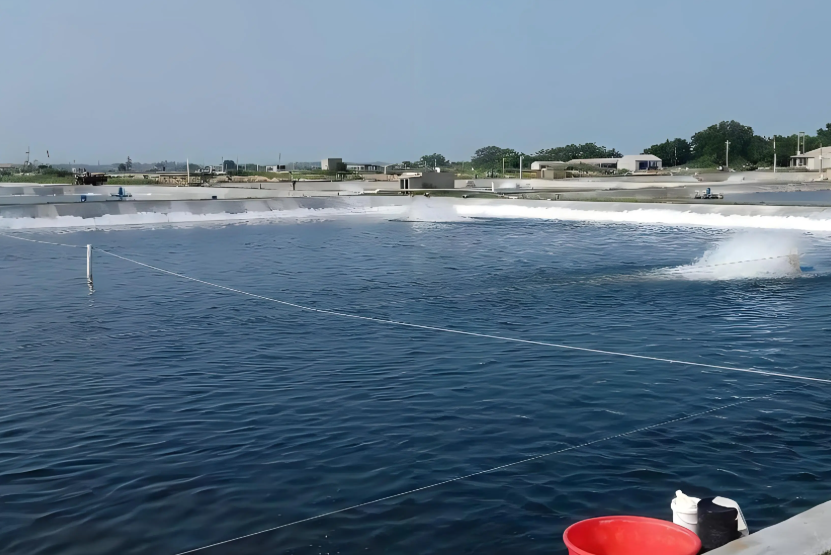 低溫天氣下，水產(chǎn)養(yǎng)殖如何穩(wěn)產(chǎn)保供？這份技術(shù)指引請收好！