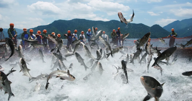 3月1日起，浙江這些區(qū)域全面禁漁！