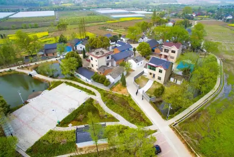 以“農(nóng)業(yè)新質(zhì)生產(chǎn)力”為引擎 全面推進(jìn)鄉(xiāng)村振興