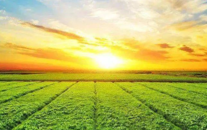 政策解讀！“十五五”農(nóng)業(yè)農(nóng)村領(lǐng)域研究重點(diǎn)及方向