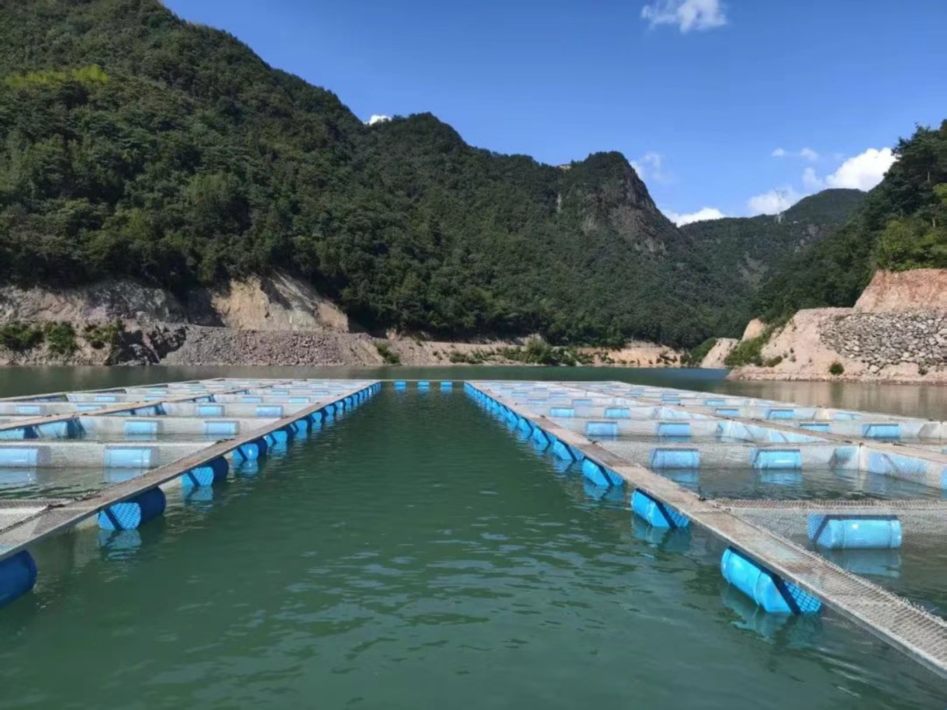 高山水庫商達(dá)公用生態(tài)魚養(yǎng)殖基地正式啟用